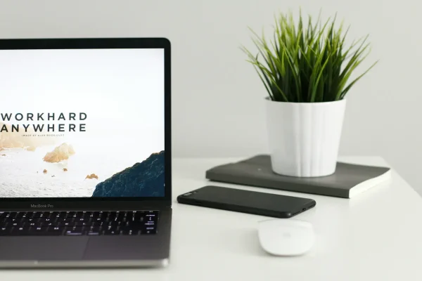 About Software InFocus